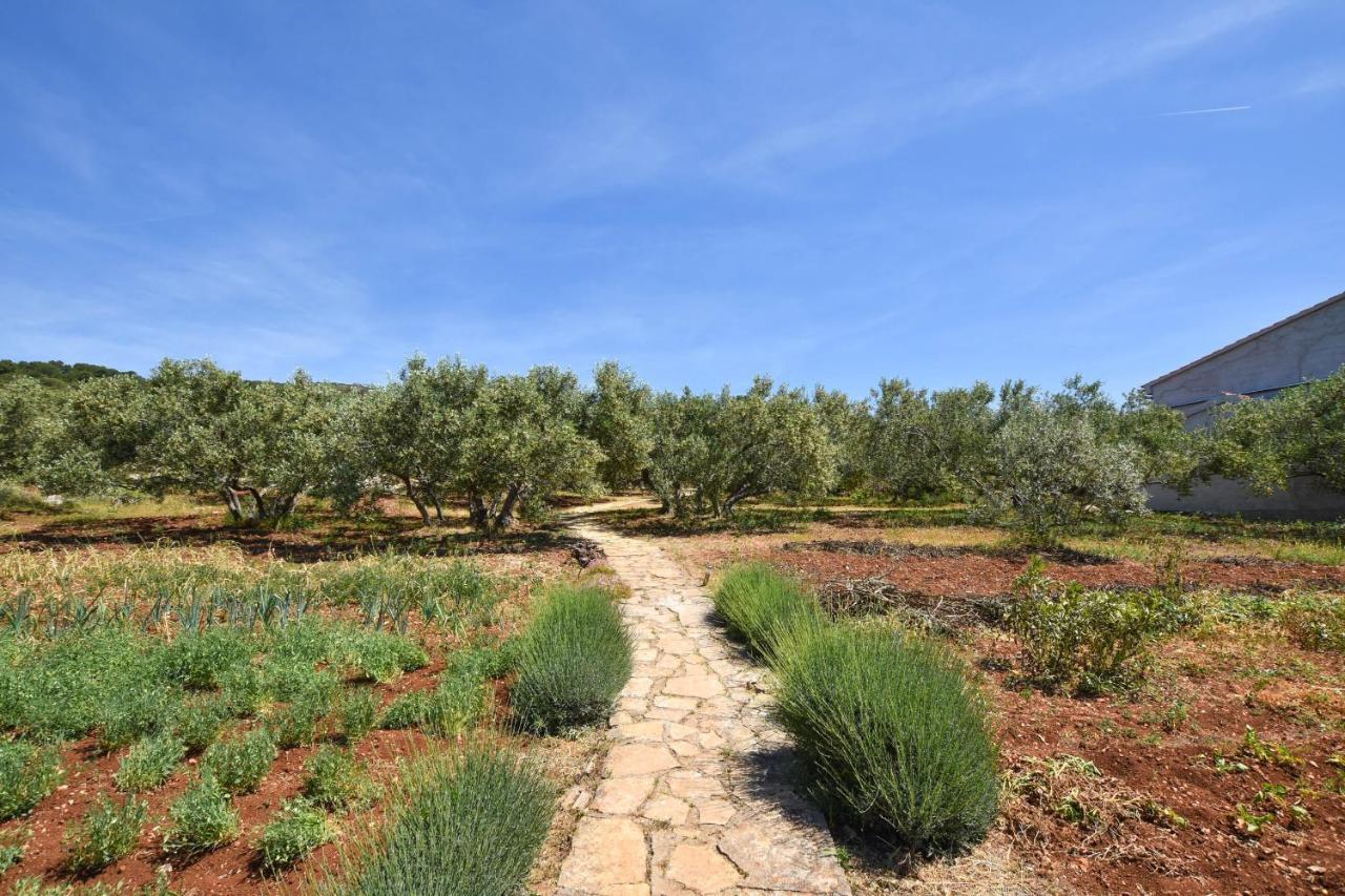 House Oliva Villa Tkon Exterior foto